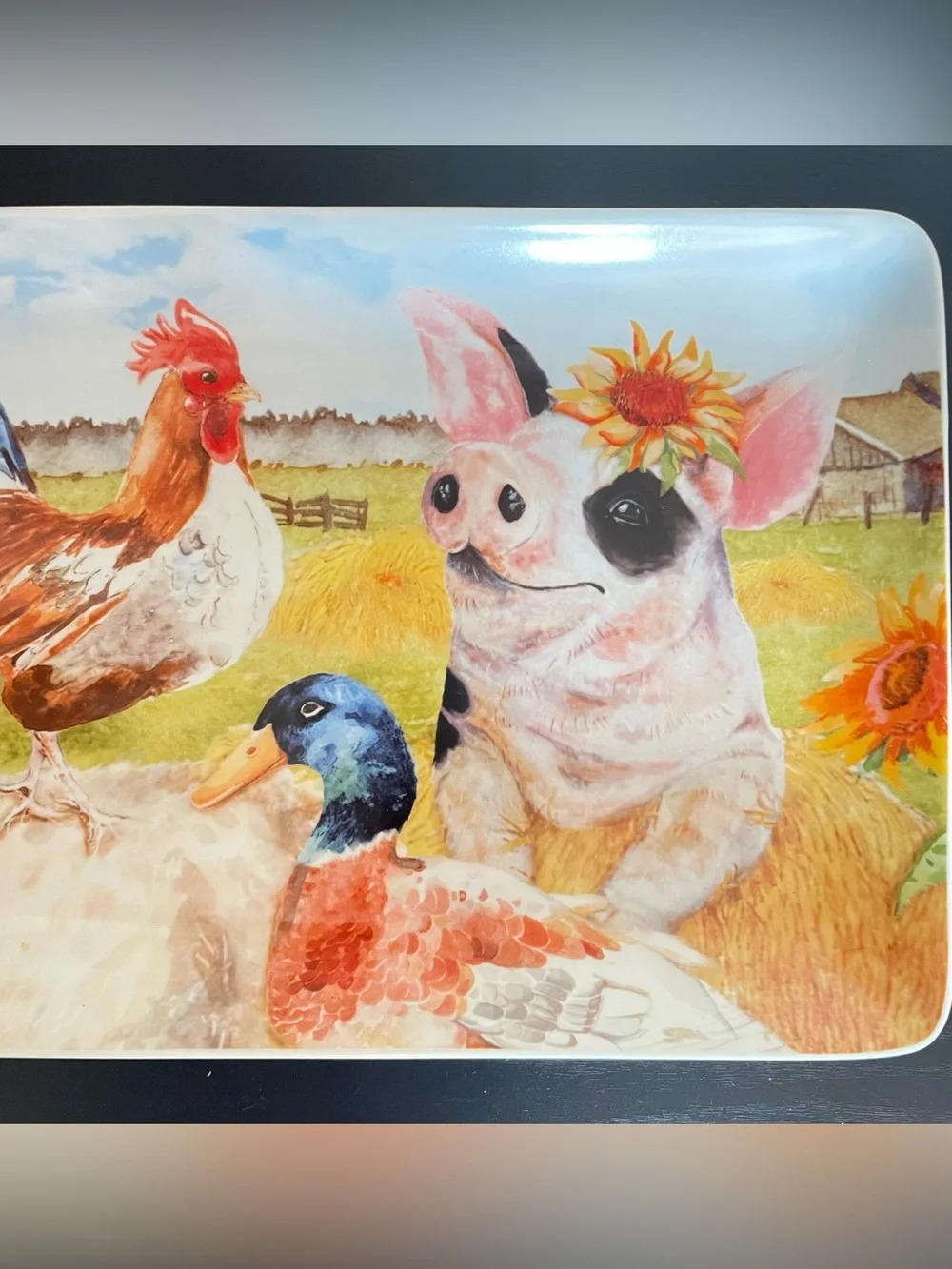 Pier 1 Imports Farm Life Farmhouse Rectangular Stoneware Platter